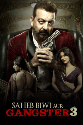 watch saheb biwi aur